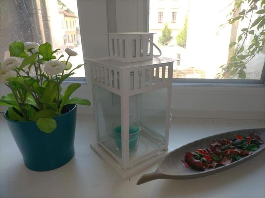 Bright Josefa Apartments For Two Красков Екстериор снимка